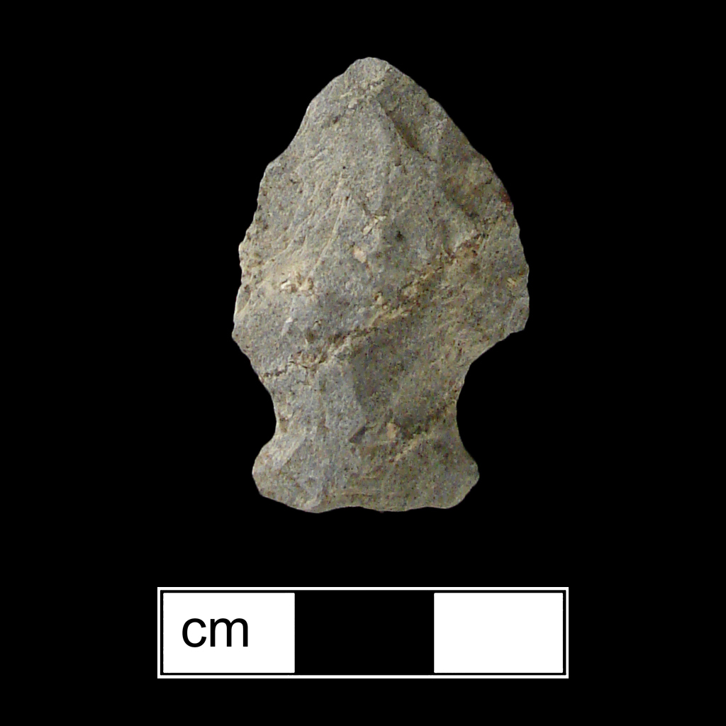 Image of stone projectile point made of Rhyolite, Stemmed shape, with a Expanding stem, Excurvate blade, and Straight base shape. Vernon type.