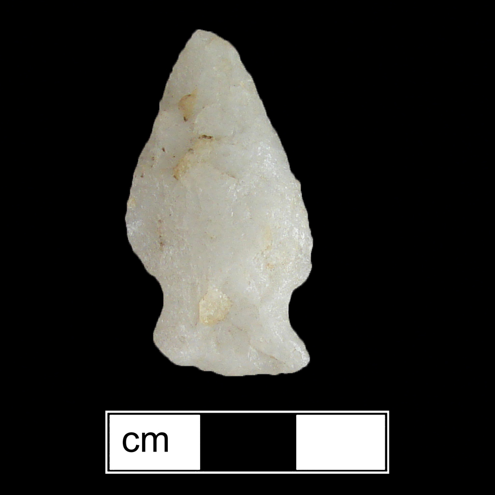 Image of stone projectile point made of Quartz, Stemmed shape, with a Expanding stem, Excurvate blade, and Straight base shape. Vernon type.
