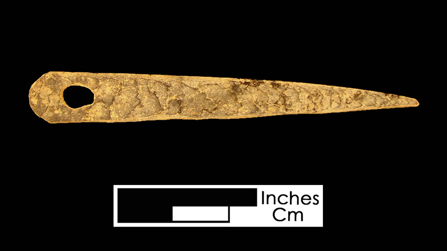 Image of tortoise shell bodkin.