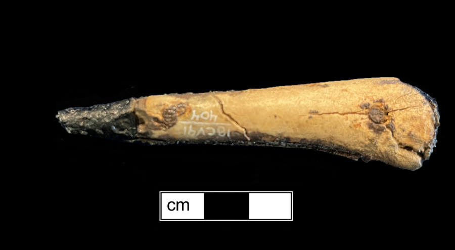 Image of iron fork, scale tang.