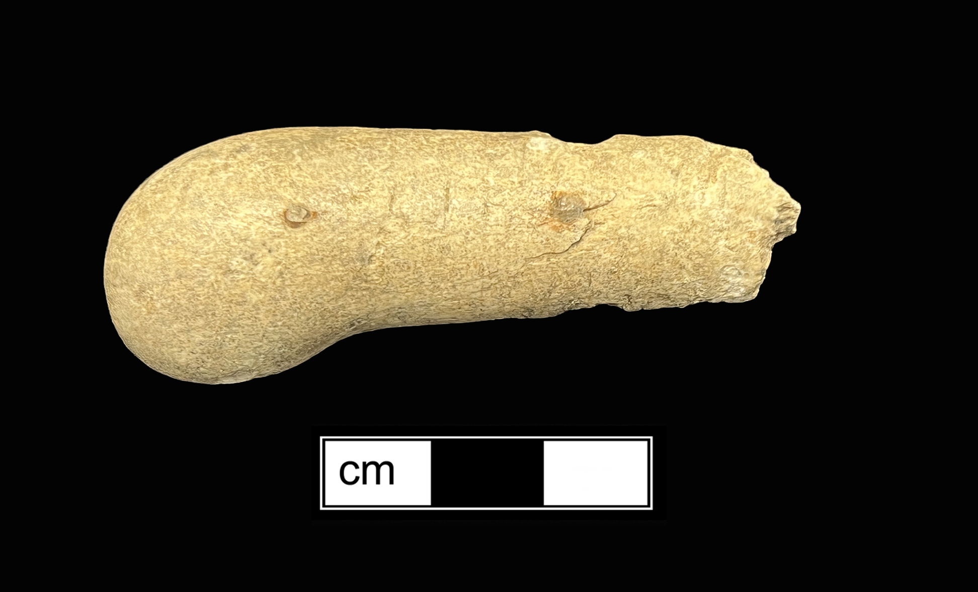 Image of bone knife handle.