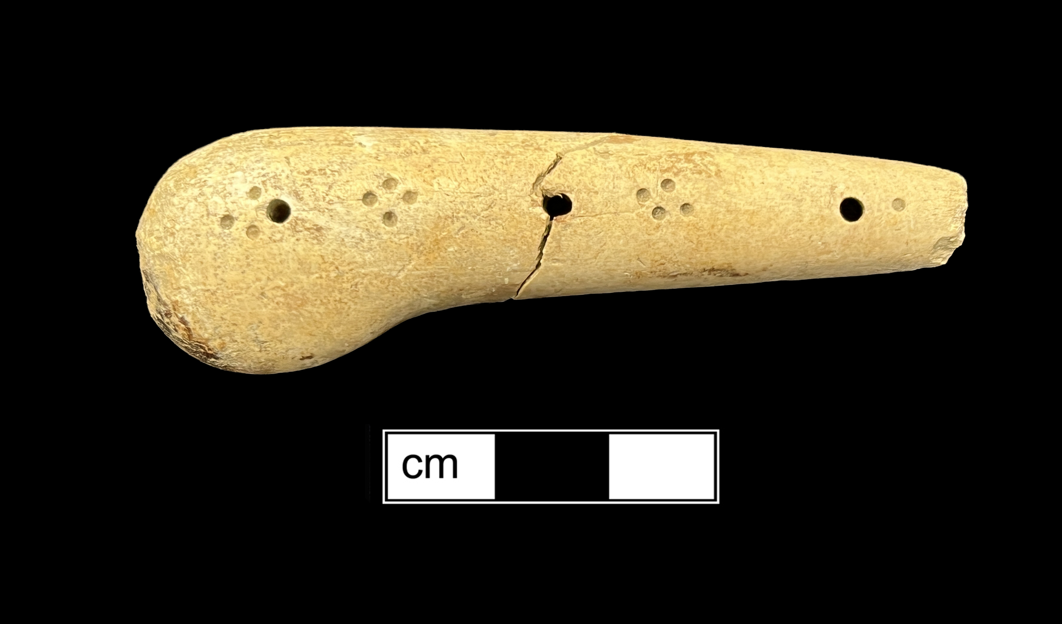 Image of bone knife handle.