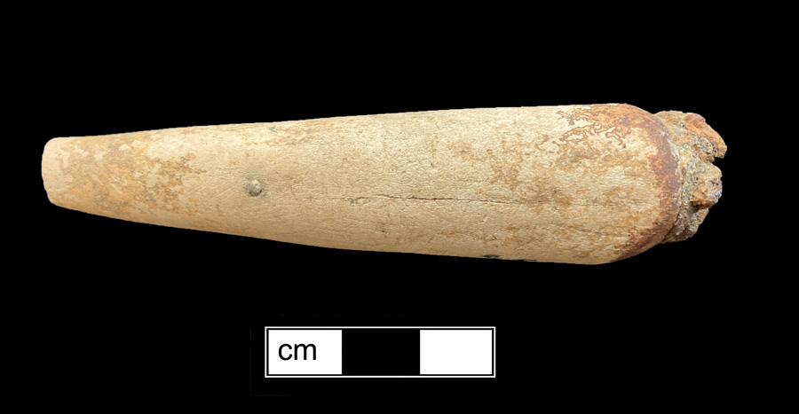 Image of antler knife handle.