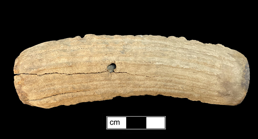 Image of antler knife handle.