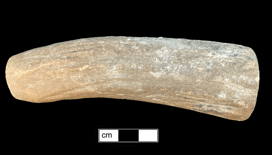 Image of antler knife handle.