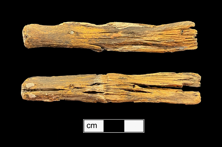 Image of wood knife handle.