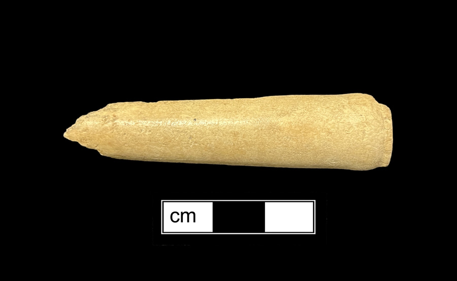 Image of ivory knife handle.