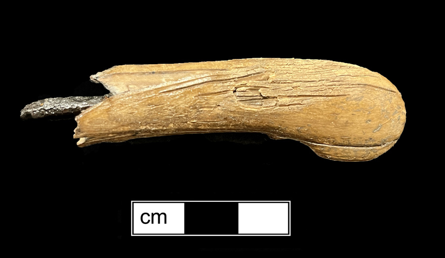 Image of ivory knife handle.
