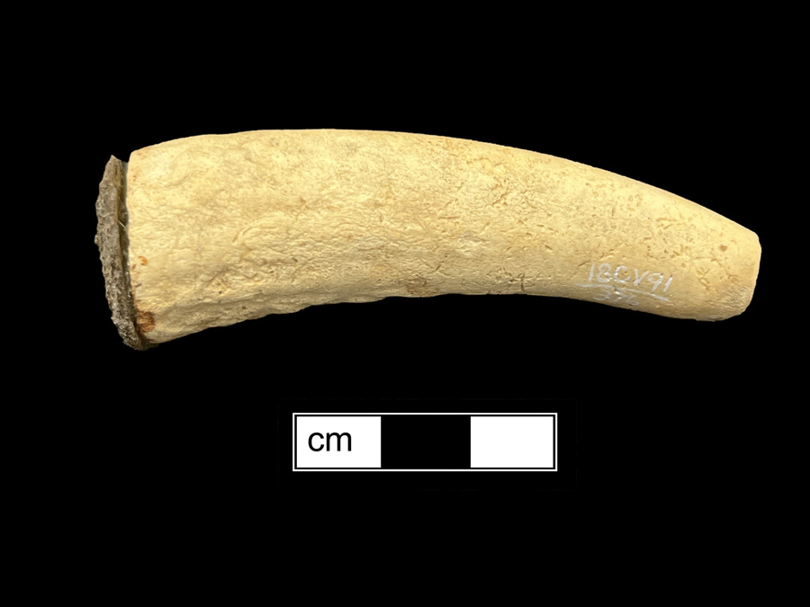 Image of antler knife handle.