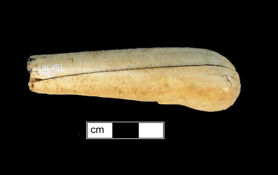 Image of ivory knife handle.
