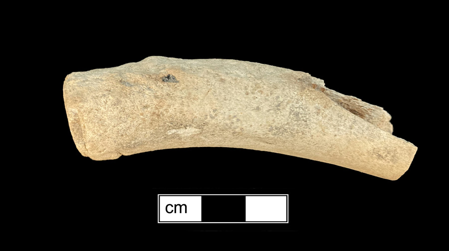 Image of antler knife handle.