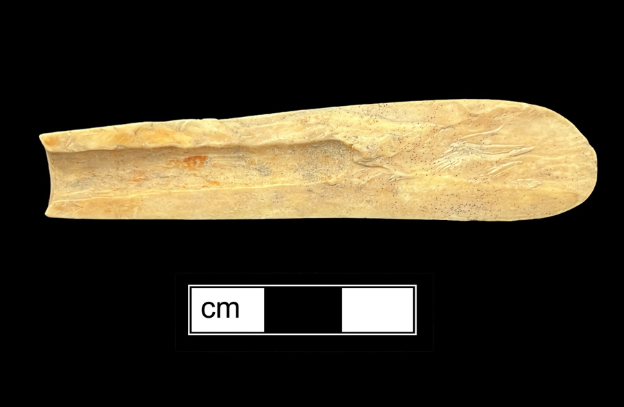 Image of ivory knife handle.