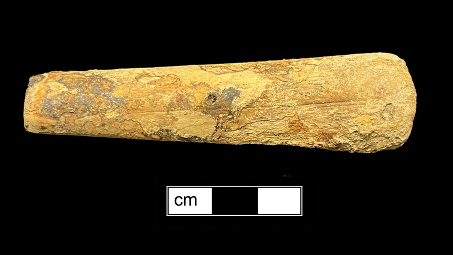 Image of knife.