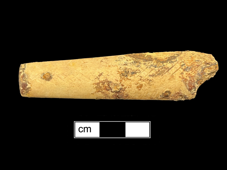Image of bone knife handle.