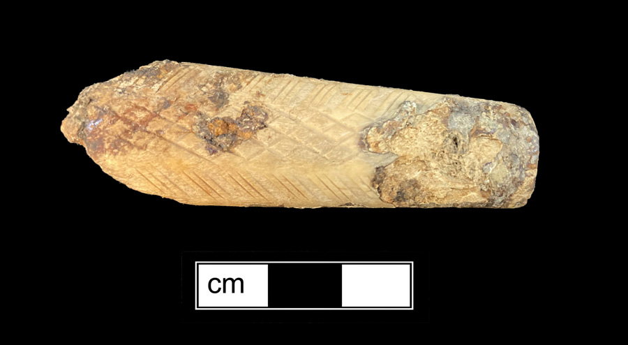 Image of bone knife handle.