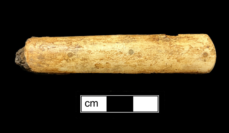 Image of bone knife handle.