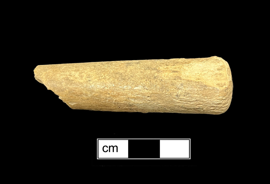 Image of ivory knife handle.