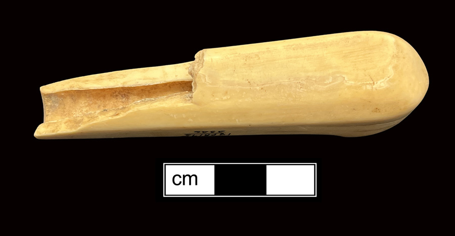 Image of ivory knife handle.