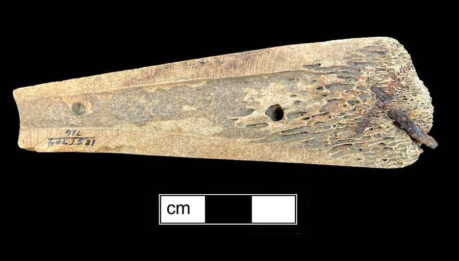 Image of bone knife handle.