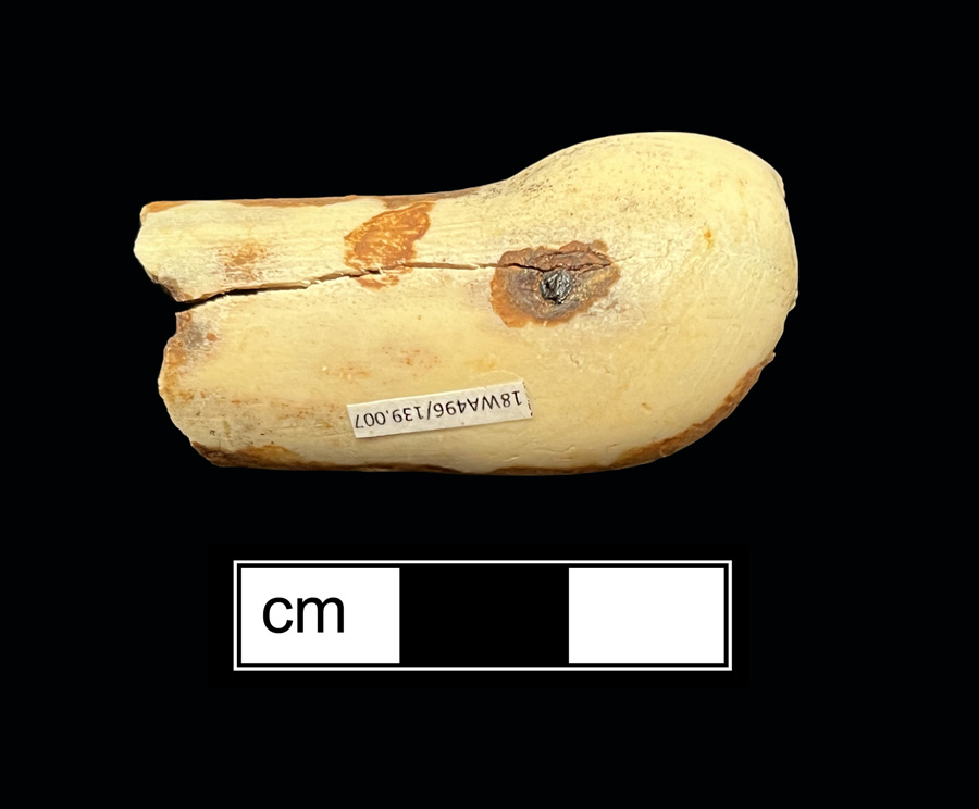 Image of bone knife handle.