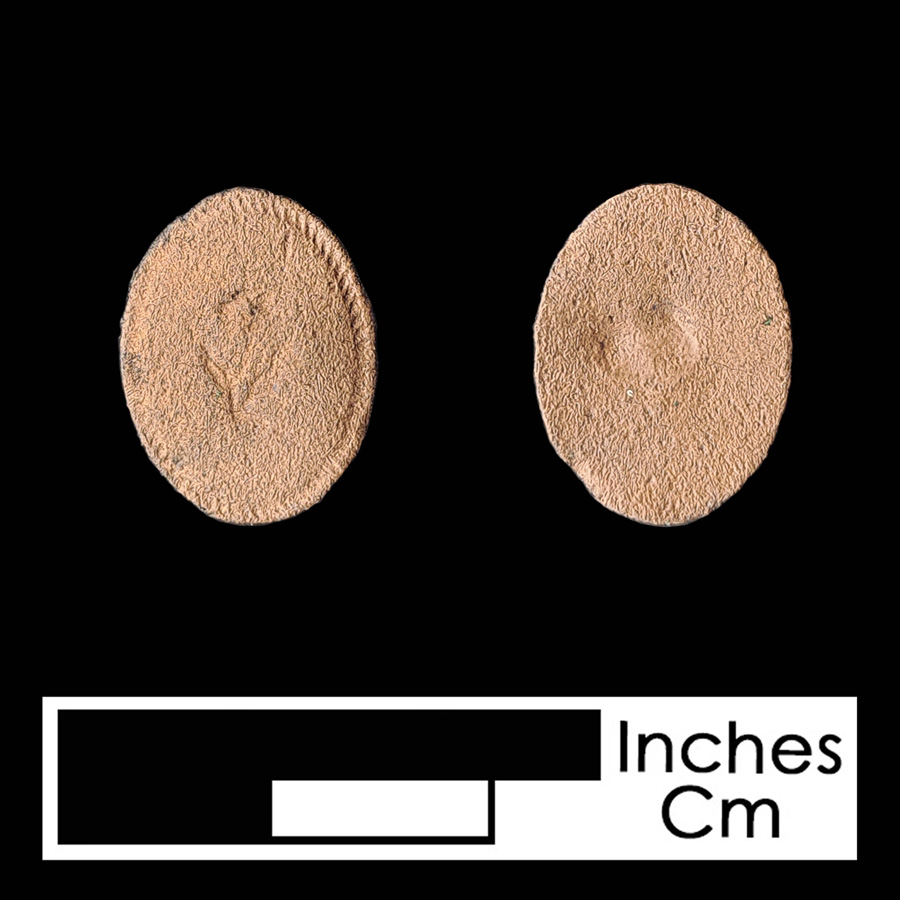 Image of copper alloy linked button.