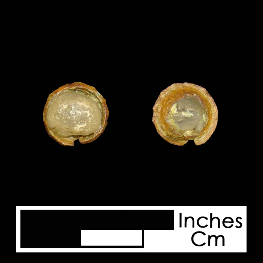 Image of copper alloy linked button.