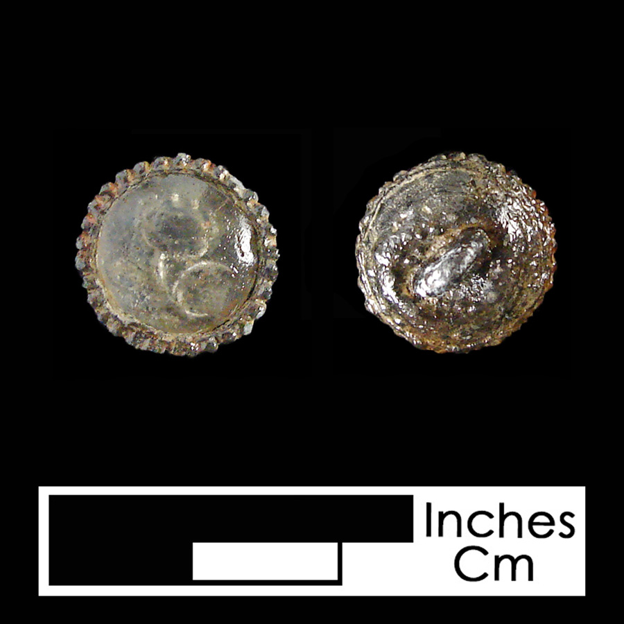 Image of pewter/glass linked button.