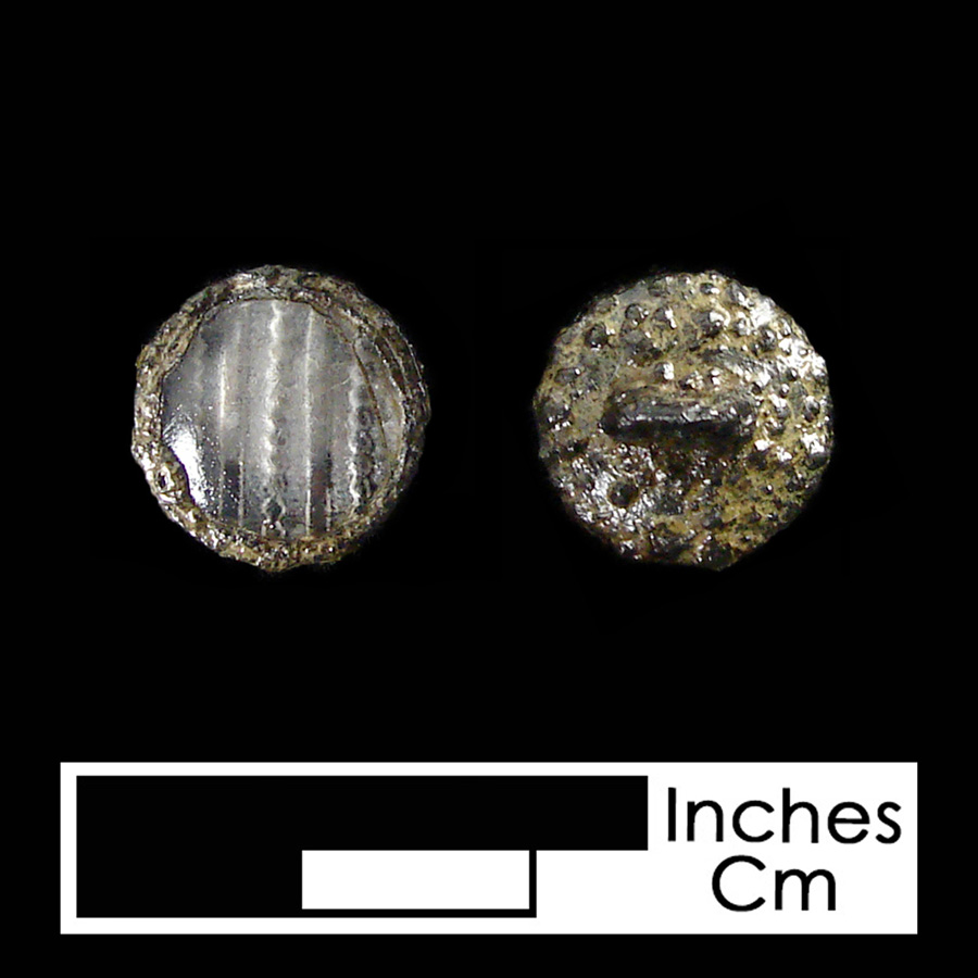 Image of pewter/glass linked button.