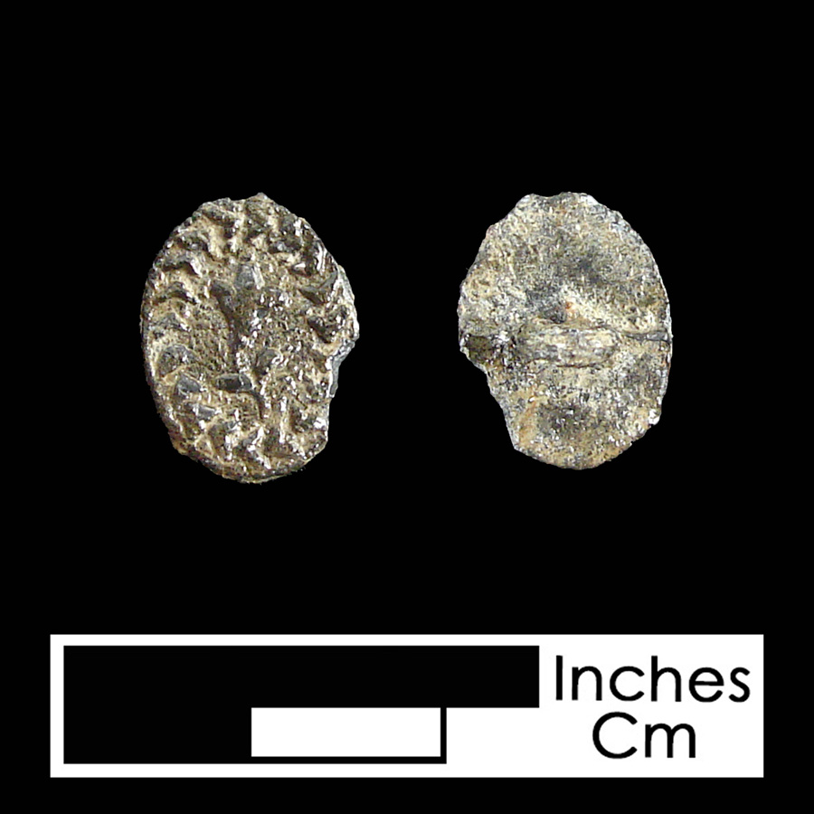 Image of pewter linked button.
