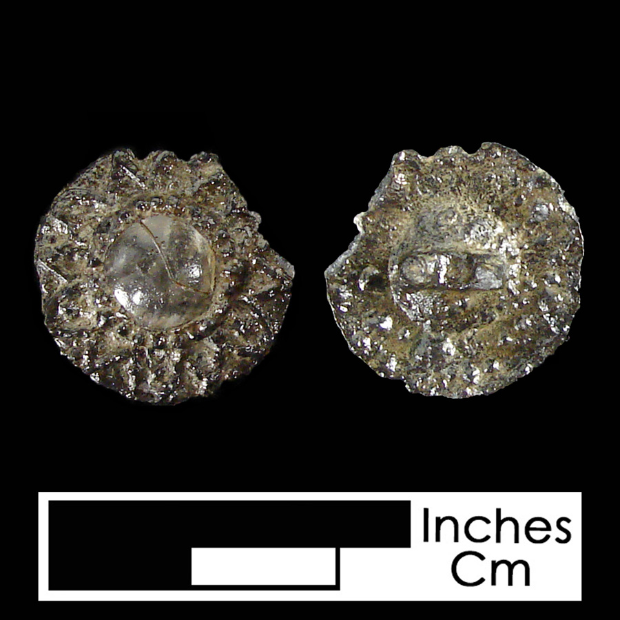 Image of pewter/glass linked button.