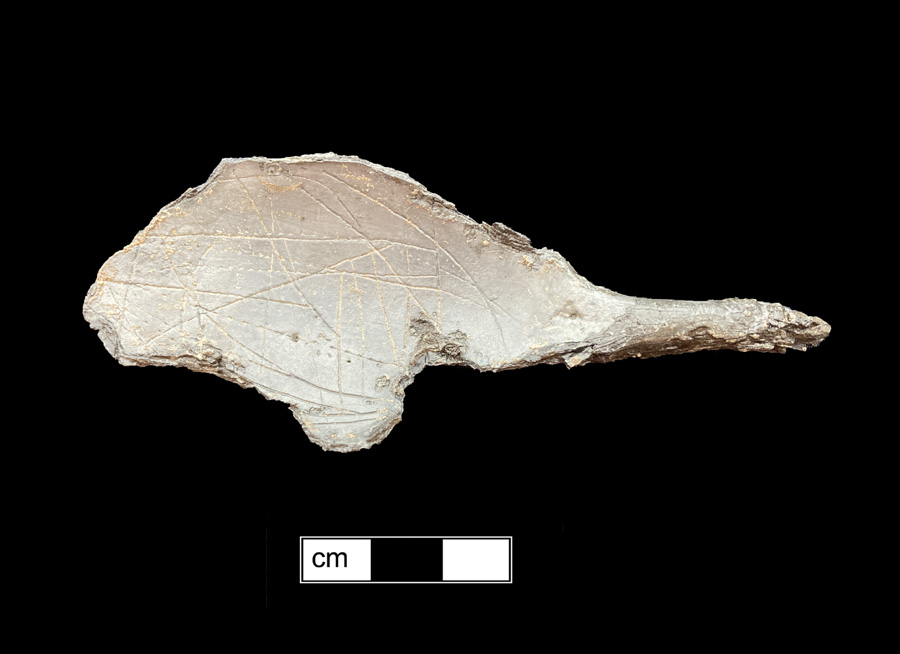 Image of pewter spoon.