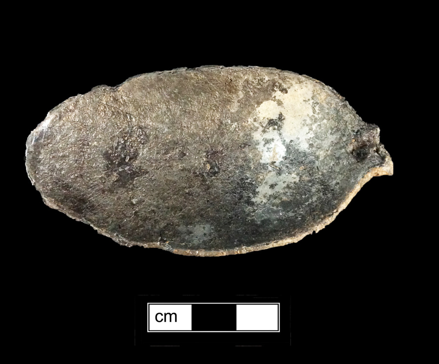 Image of pewter spoon.