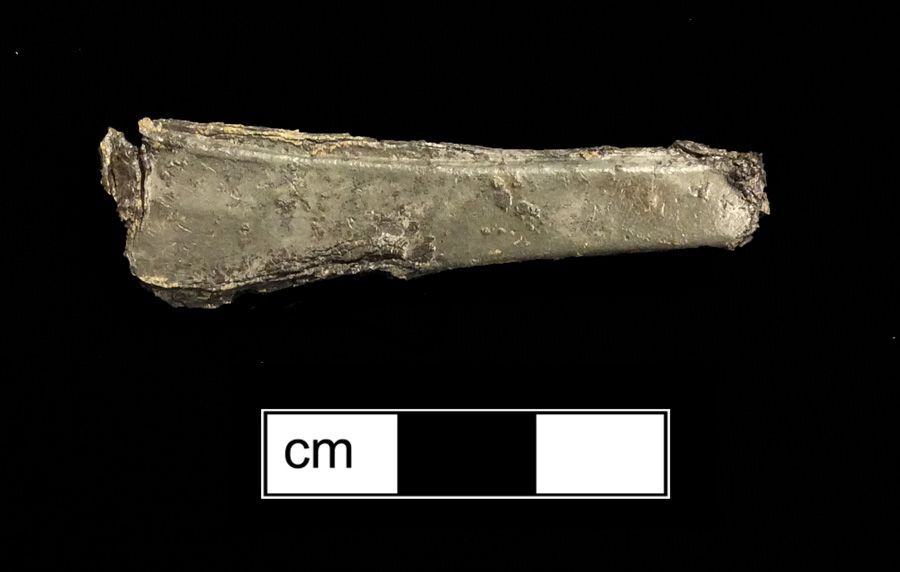 Image of pewter spoon.