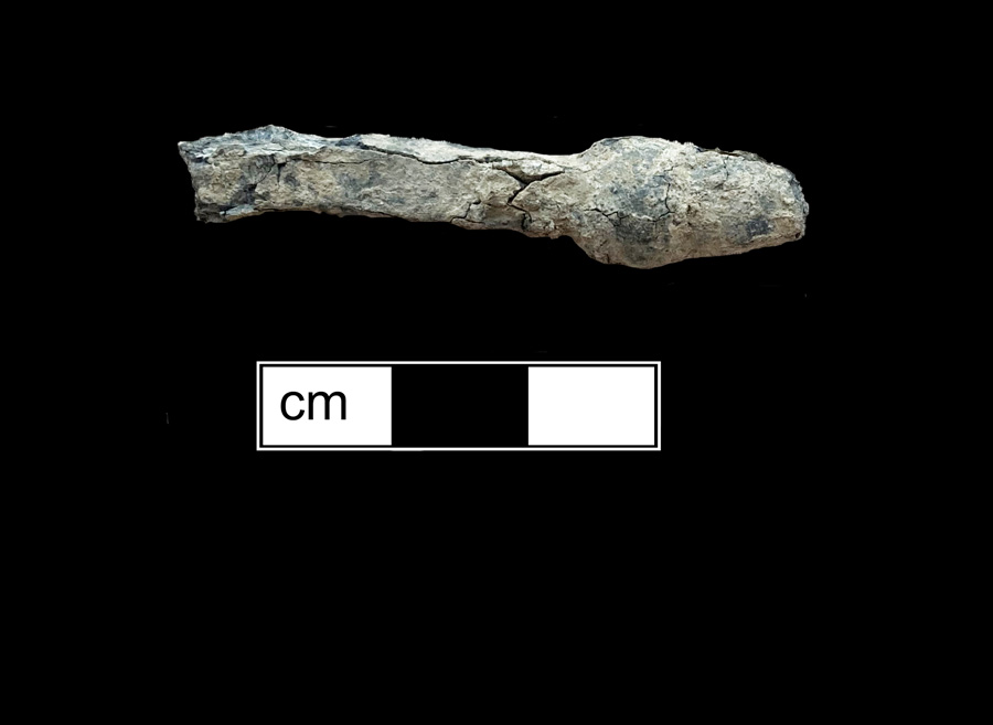 Image of pewter spoon, Knobbed.