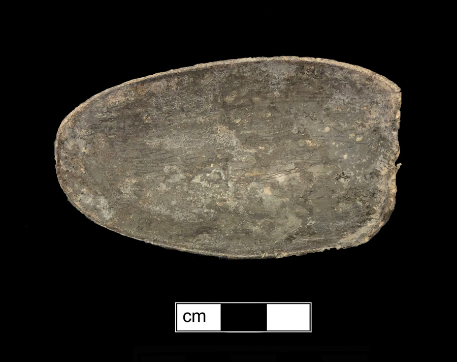 Image of pewter spoon.