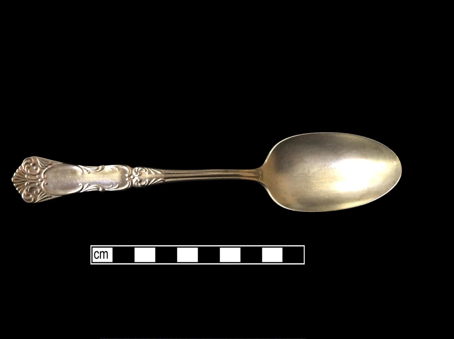 Image of silver spoon.