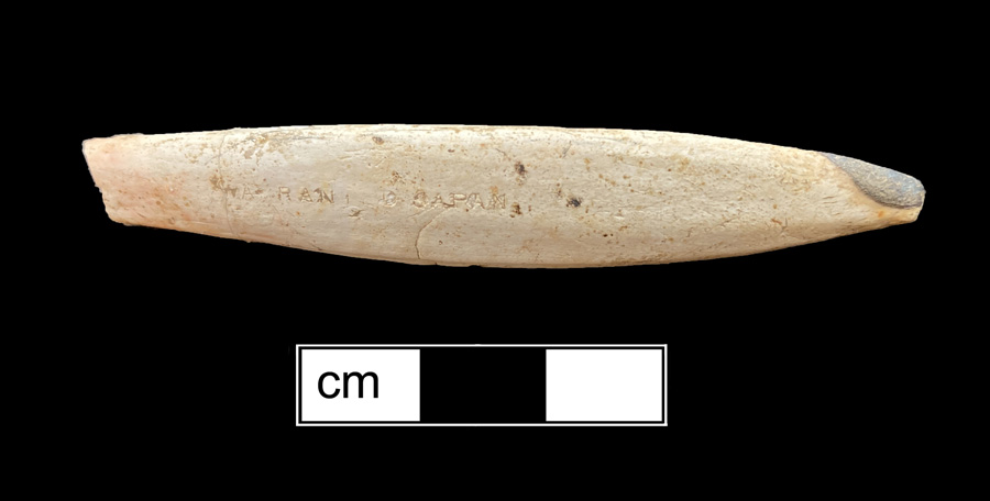 Image of bone toothbrush handle.
