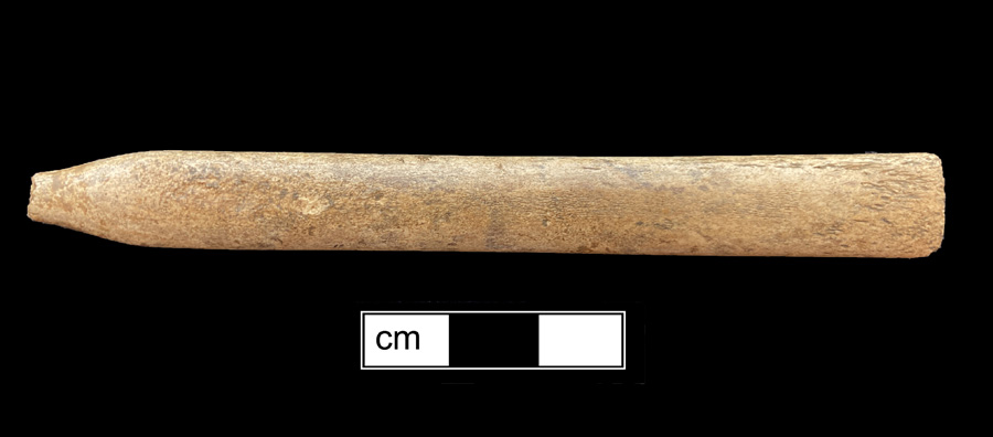 Image of bone toothbrush handle.