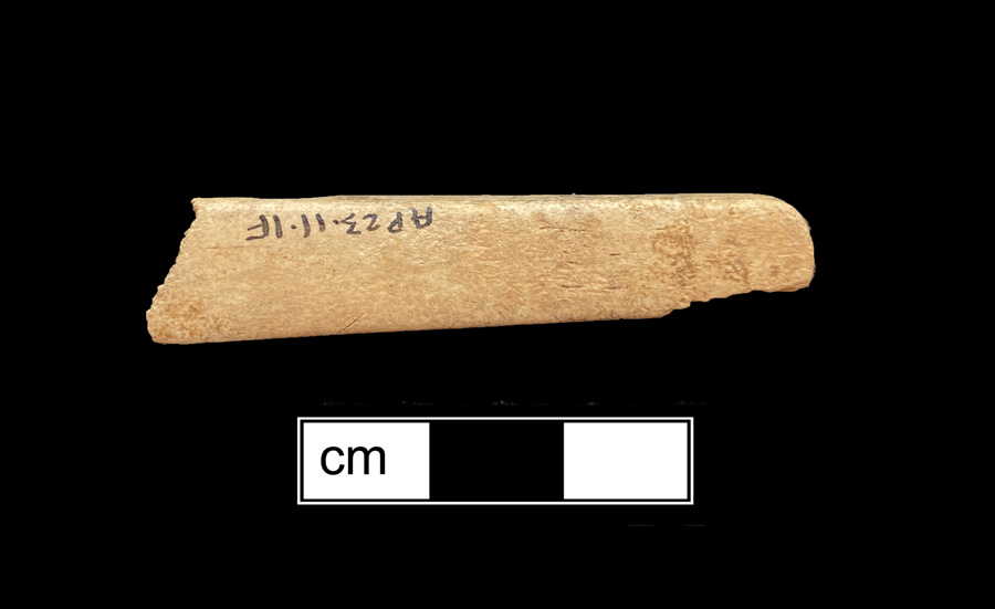 Image of bone toothbrush handle, trepanned.