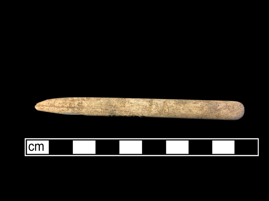 Image of bone toothbrush handle.