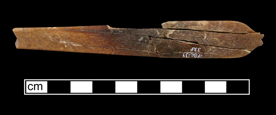 Image of bone toothbrush handle.