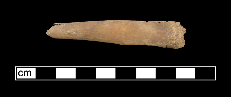 Image of bone toothbrush handle.