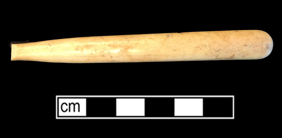 Image of bone toothbrush handle.