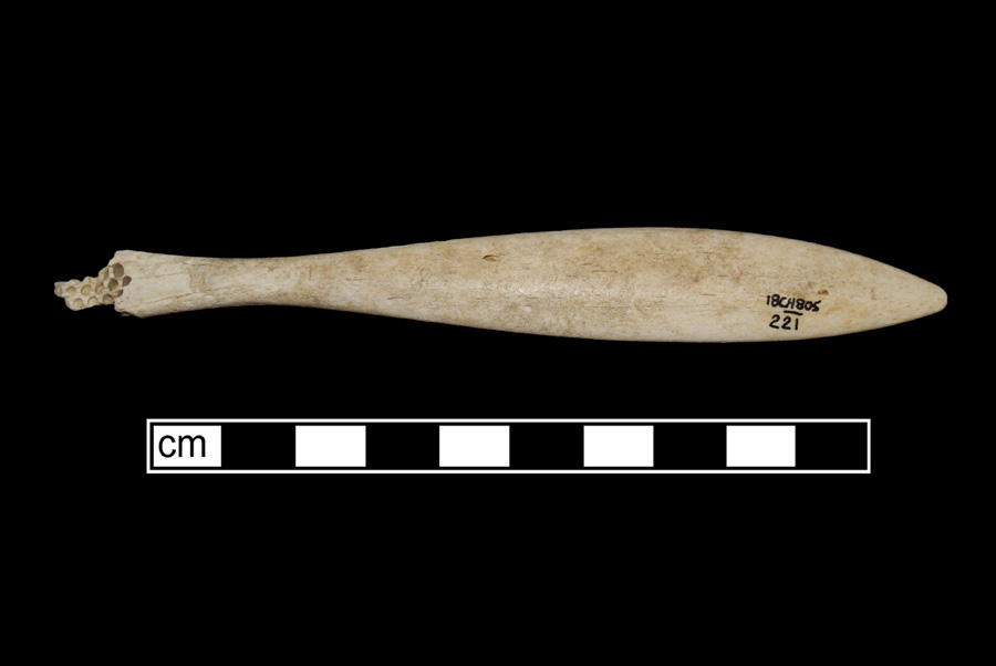 Image of bone toothbrush handle, trepanned, Florida type.