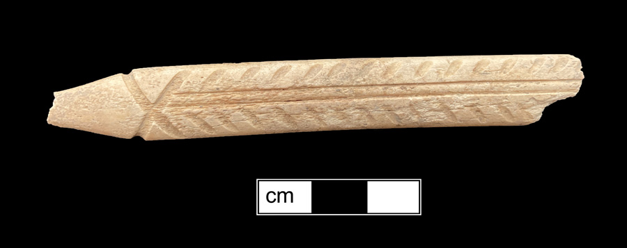 Image of bone toothbrush handle.