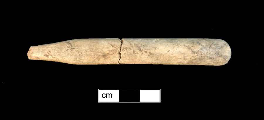 Image of bone toothbrush handle.