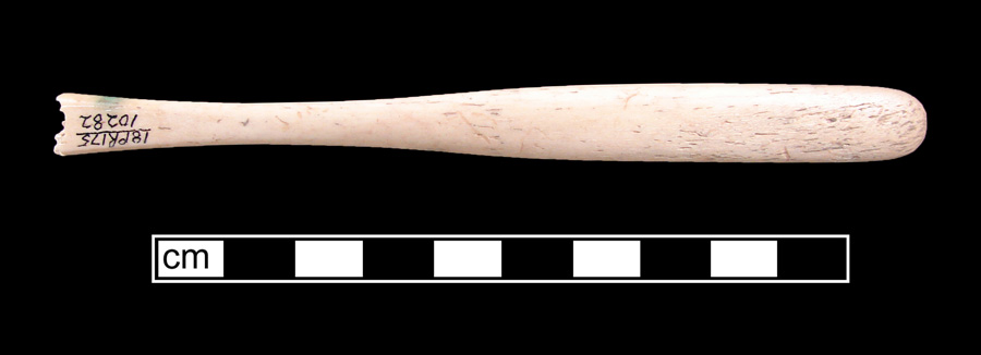 Image of bone toothbrush handle, trepanned, Tallahassee type.