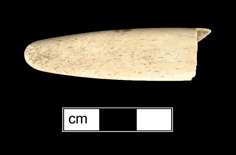 Image of bone toothbrush handle, Georgia type.