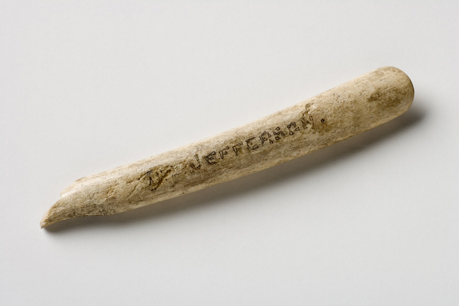 Image of bone toothbrush handle.