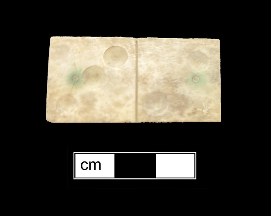 Image of bone/wood game piece.